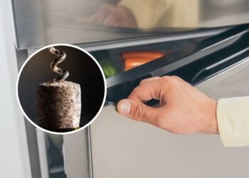 Para que serve colocar uma rolha na geladeira e por que você deveria fazer isso