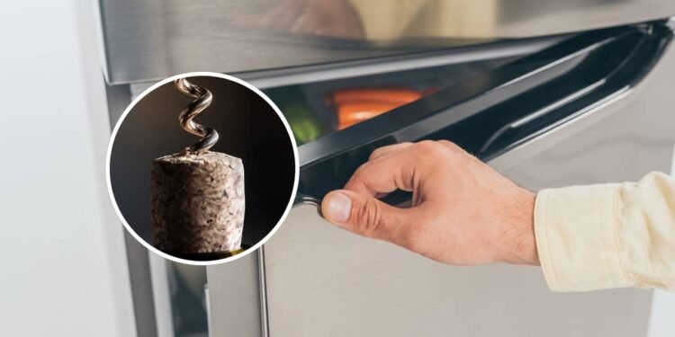 Para que serve colocar uma rolha na geladeira e por que você deveria fazer isso