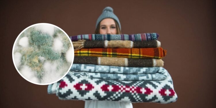 Dicas eficazes para eliminar o cheiro a mofo na roupa de inverno