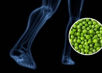 Este é o superalimento que Cambridge recomenda comer para cuidar dos ossos e da digestão