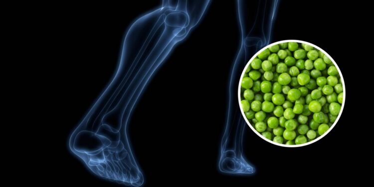 Ervilhas auxiliam na saúde intestinal, controle do açúcar, saúde dos olhos e do coração. Créditos: depositphotos.com / magicmine e Créditos: depositphotos.com / sai0112