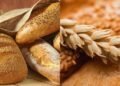 Pães aprovados por nutricionistas que ajudam a reduzir o colesterol
