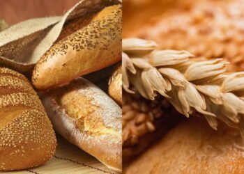 Pães aprovados por nutricionistas que ajudam a reduzir o colesterol