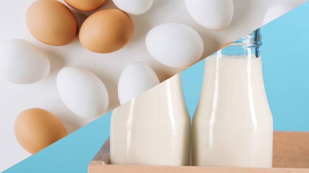 Quanta proteína as crianças realmente precisam? Nutricionistas revelam a verdade