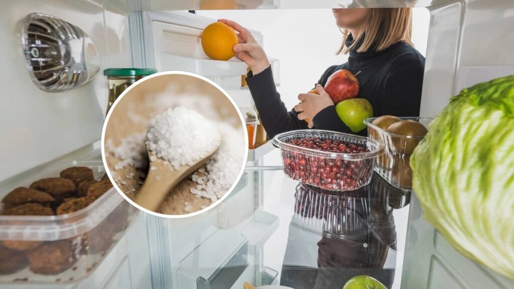 Poucos sabem qual é o sentido de colocar sal grosso na geladeira