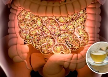 O chá poderoso que melhora sua digestão e circulação naturalmente