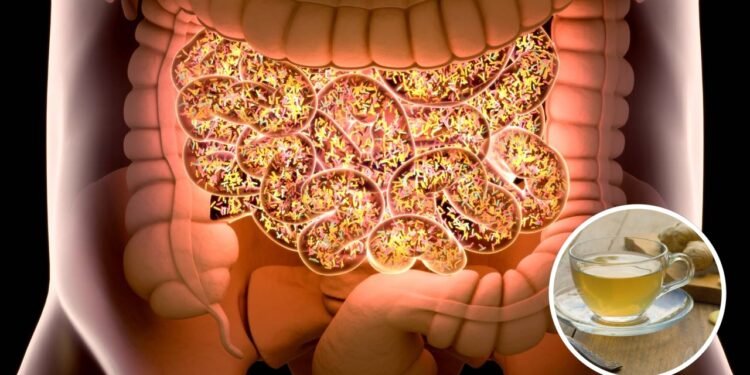 O chá poderoso que melhora sua digestão e circulação naturalmente