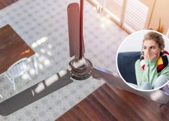 A segunda função dos ventiladores de teto que poucos sabem usar