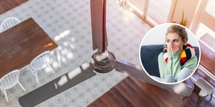 A segunda função dos ventiladores de teto que poucos sabem usar