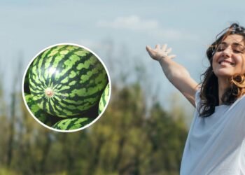 A fruta que ajuda a reduzir retenção de líquidos naturalmente