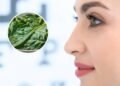 O vegetal pouco conhecido que pode fortalecer o corpo, aumentar energia e proteger a visão