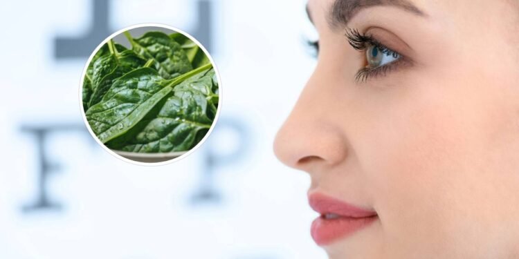 Um dos benefícios terapêuticos mais notáveis do espinafre é sua contribuição para a saúde ocular - Créditos: depositphotos.com / KostyaKlimenko / Créditos: depositphotos.com / AllaSerebrina