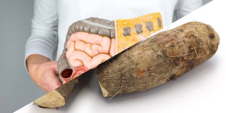 O cará é uma fonte rica de fitoquímicos, incluindo compostos fenólicos e flavonoides - Créditos: depositphotos.com / benschonewille / Créditos: depositphotos.com / asimojet