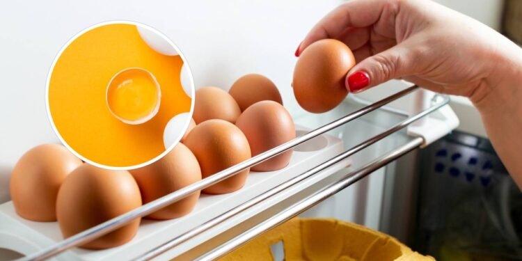 As técnicas mais eficientes para saber se um ovo está estragado