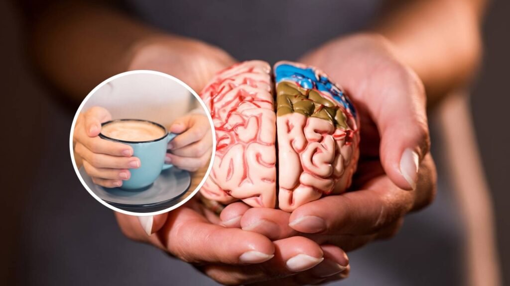 Os efeitos surpreendentes do café no cérebro e na imunidade