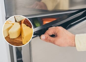 Os erros de armazenamento de queijo que todo mundo comete