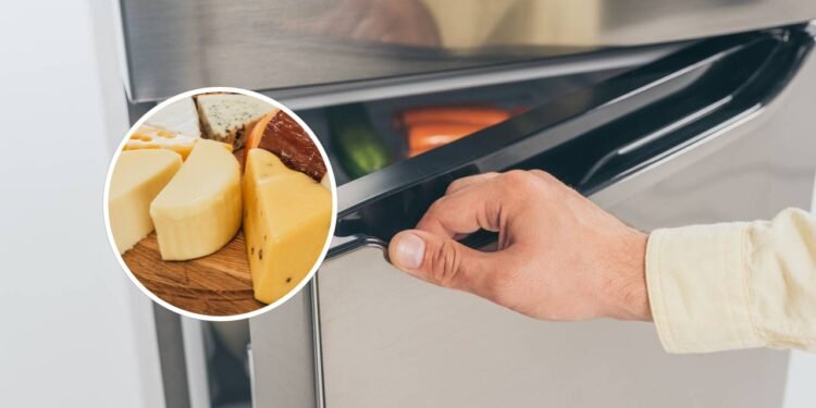 Os erros de armazenamento de queijo que todo mundo comete