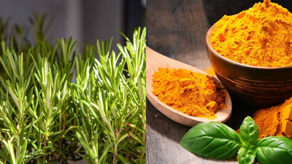 Os 5 alimentos que ajudam a retardar o envelhecimento nos homens