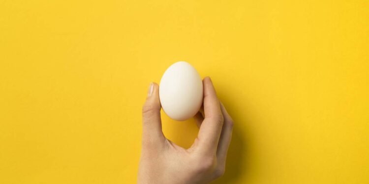 O ovo surgiu antes da galinha na evolução dos répteis e aves atuais. // Créditos: depositphotos.com / AntonMatyukha