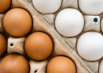 Realmente tem diferença entre os Ovos brancos e marrons?