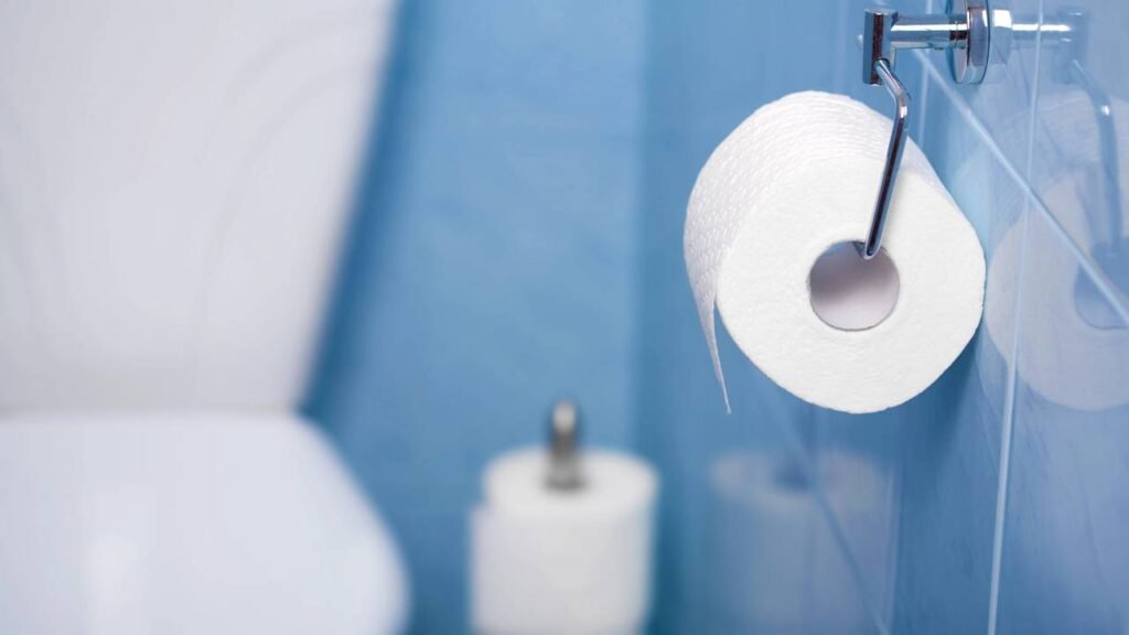 Poucos sabem qual é a maneira correta de colocar papel higiênico