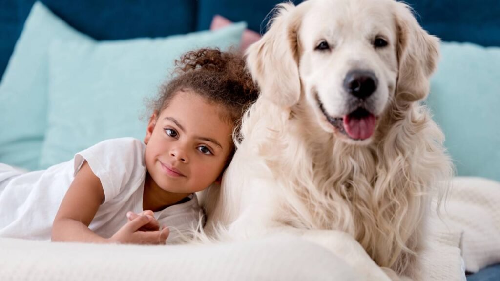 O que significa para uma pessoa preferir ter cães em vez de gatos, segundo a psicologia