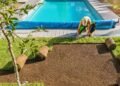 Plantas ideais para áreas com piscina que exigem pouca manutenção