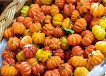 Médicos revelam o poder escondido na pitanga que vem surpreendendo estudos