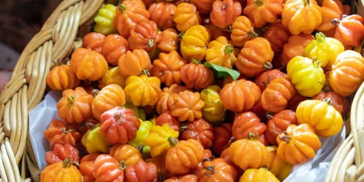 O extrato da pitanga contém antocianinas, flavonoides e carotenoides que combatem o estresse oxidativo e reduzem inflamações celulares - Créditos: depositphotos.com / Skaldis