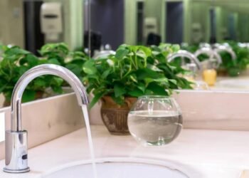 Plantas ideais para banheiros sem janelas que ficam lindas e saudáveis