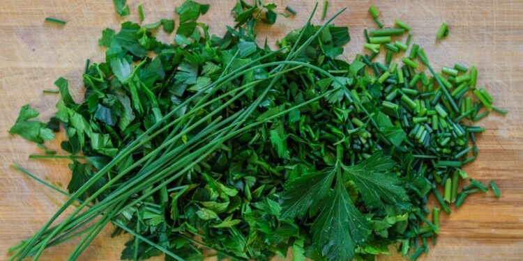 Fortalecem o sistema imunológico e protegem o coração - Créditos: depositphotos.com / DepositTim82