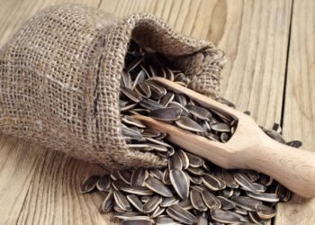 Comer essa semente antes de dormir pode garantir um sono perfeito