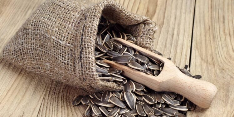 Comer essa semente antes de dormir pode garantir um sono perfeito