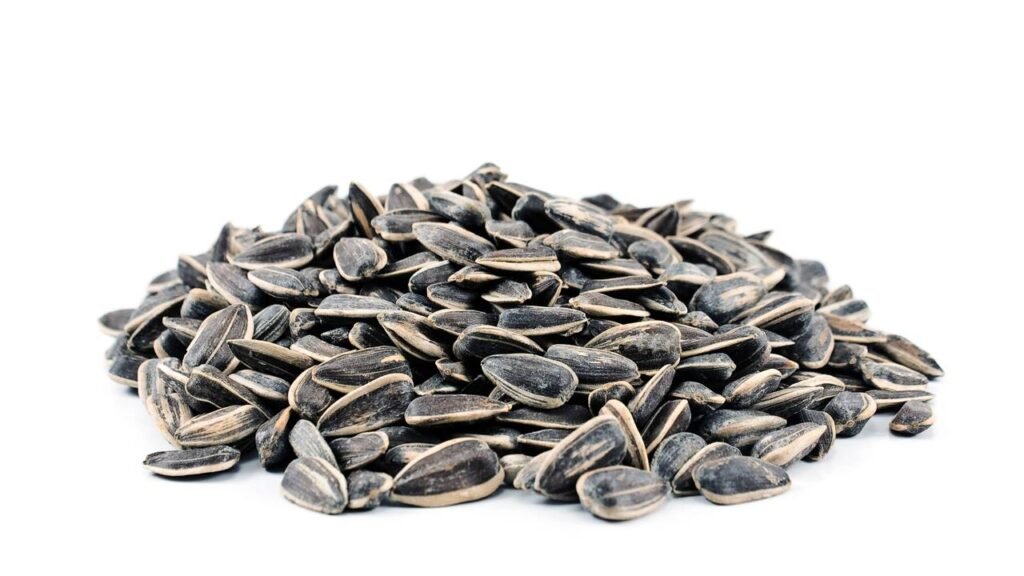 Comer essa semente antes de dormir pode garantir um sono perfeito