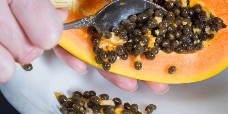 É possível incorporar as sementes de mamão ao cardápio diário de diferentes maneiras práticas - Créditos: depositphotos.com / wollertz