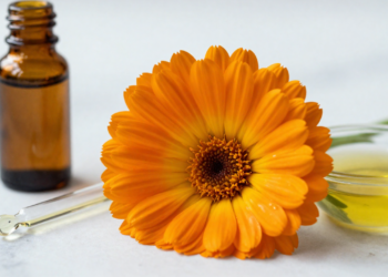 A flor usada em cremes e sabonetes que também deixa o jardim mais bonito