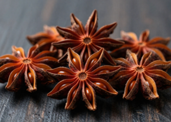 A planta aromática fácil de plantar que virou aliada contra tosse e gases