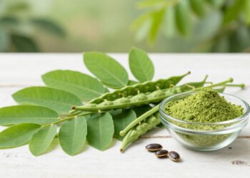 A planta conhecida por 'árvore da vida' que desperta interesse por seus possíveis efeitos terapêuticos