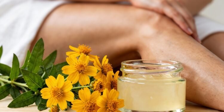 A planta tradicional que muita gente usa para aliviar dores após pancadas