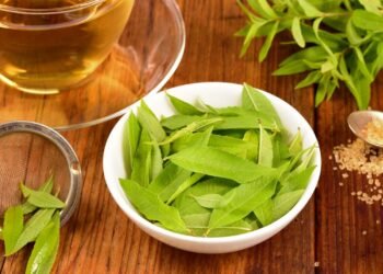 A infusão mais poderosa para noites tranquilas e digestão leve em pouco tempo