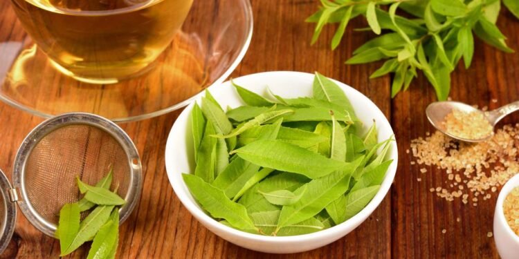 A infusão mais poderosa para noites tranquilas e digestão leve em pouco tempo