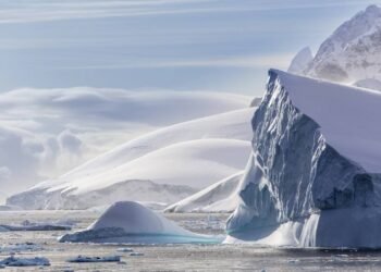 Pesquisadores encontraram vida escondida sob o gelo e mostram como a natureza resiste até no impossível