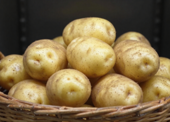 As batatas ficam frescas e sem brotos por mais tempo se guardar neste local