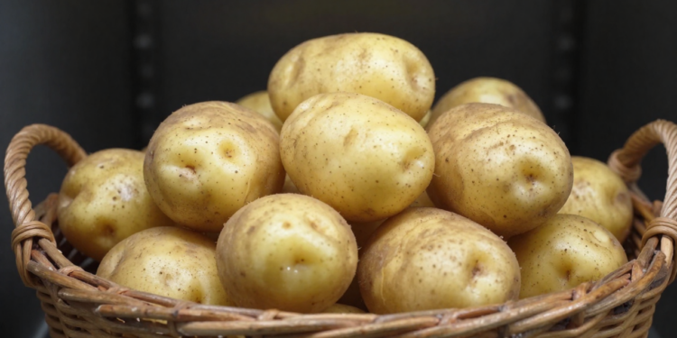 As batatas ficam frescas e sem brotos por mais tempo se guardar neste local
