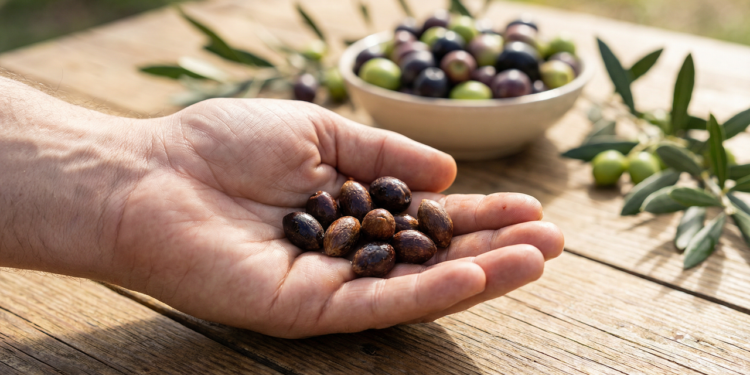 É por isso que você não deveria jogar fora o caroço da azeitona