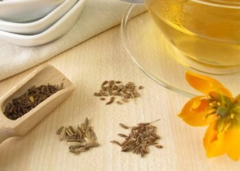 Chá de funcho ajuda a aliviar gases e inchaço