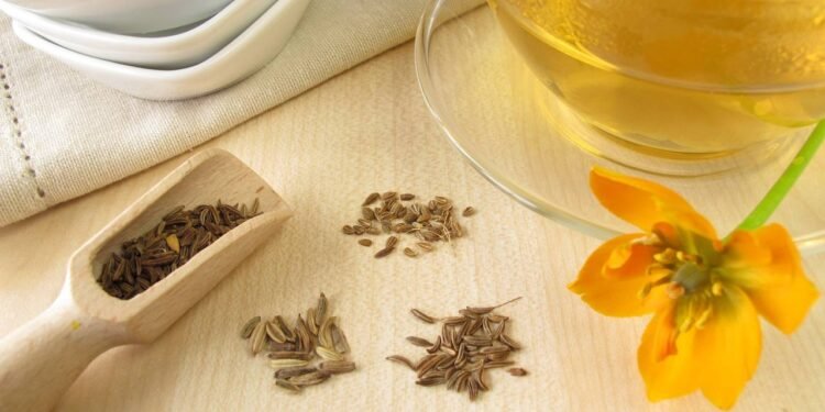 Chá de Funcho - Créditos: depositphotos.com / HeikeRau