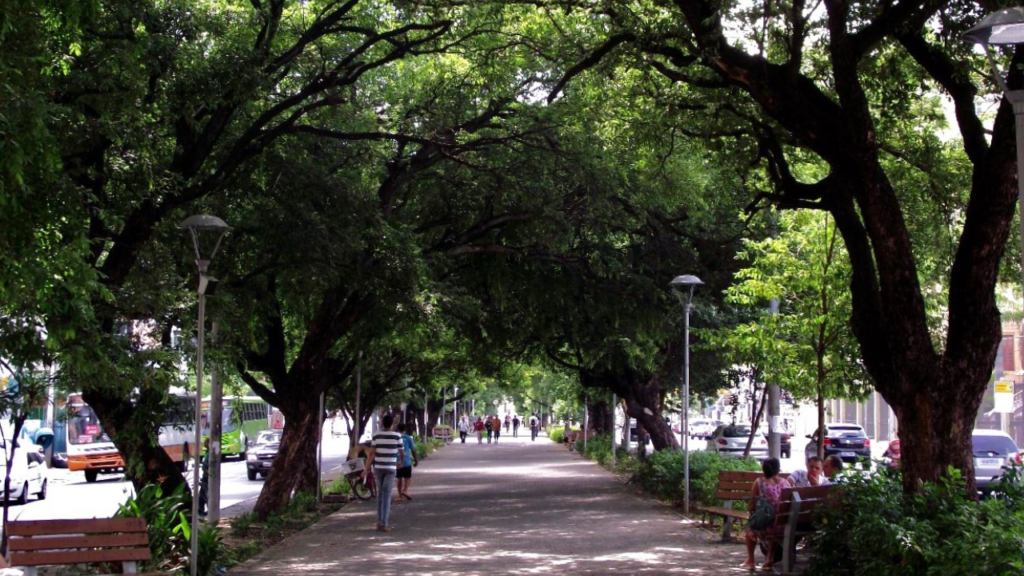 Essa cidade Nordestina está surpreendendo até mesmo os peixes grandes pelo seu crescimento e tranquilidade interiorana