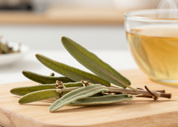 Essa erva amarga usada em chá pode ajudar a controlar o açúcar no sangue