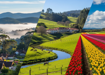 Os 3 lugares mais tranquilos do interior paulista ideais para renovar as energias rapidamente